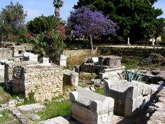 the ruins of an ancient city with trees in the background