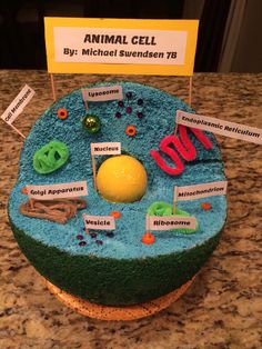 an animal cell cake on a counter with name tags and magnets attached to it