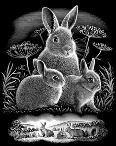 three rabbits are sitting in the grass near some plants and flowers on a black background