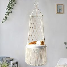 a cat is sleeping in a hammock hanging from the wall next to a potted plant