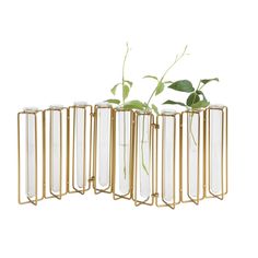 four glass vases with plants in them on a white background, one is gold and the other is clear