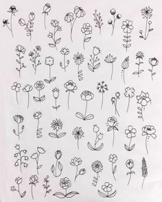 a bunch of flowers drawn on top of a white sheet