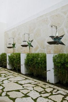 there are many potted plants in front of the wall and on the side of the building