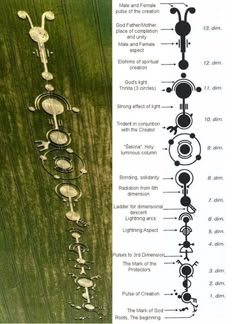 the diagram shows different types of water features in each section of the plant, and what they mean to be