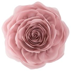 a large pink flower on a white background