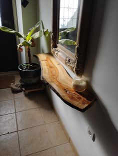 a potted plant sitting on top of a wooden shelf in front of a mirror