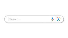 the search button for google's website