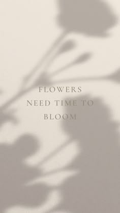 flowers need time to bloom, written in white on a light gray background with shadow