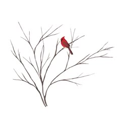 a red bird sitting on top of a tree branch next to another leafless tree