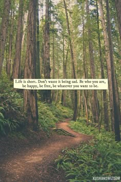 100 Inspirational and Motivational Quotes of All Time! (26) Happy Hippie Quotes, Citation Nature, Citation Force, Hippie Quotes, Quotes Tumblr, Nature Green, Super Quotes, Nature Quotes