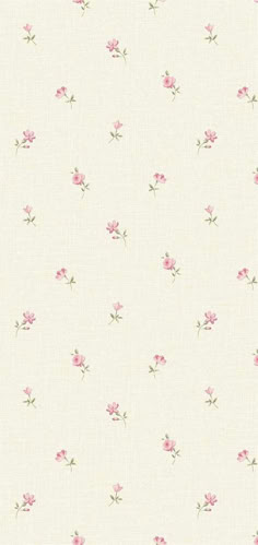 a white background with pink flowers on it