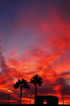 the sun is setting behind some palm trees