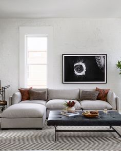 a living room with a couch, coffee table and potted plant in the corner