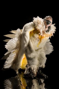 a white bird with its wings spread out and it's reflection in the water