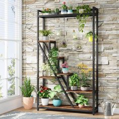 an indoor plant stand with potted plants on the top and bottom shelves, in front of a brick wall