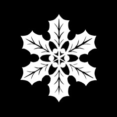 a black and white snowflake on a black background with the shape of an ornament