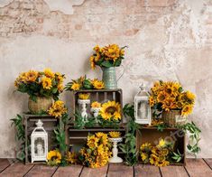 sunflowers are arranged on wooden crates in front of an old brick wall and floor