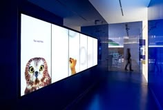 an owl is shown on the wall in this office lobby with people walking past it