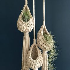 three macrame hangings with air plants and succulents in them