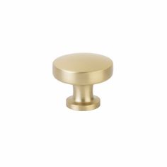 an antique brass cabinet knob on a white background