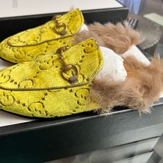 Stylish Yellow Loafers With Fur Lining. Features Signature Gucci Design. Perfect For A Chic Look. Gucci Street Style, Yellow Loafers, Gucci Yellow, Dope Style, Gucci Design, Shoes Gucci, Dope Fashion, Gucci Shoes, Mule Clogs