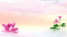 two pink flowers floating on top of water with clouds in the sky behind them,