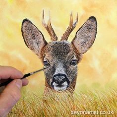 a drawing of a deer with antlers on it's head is being colored