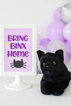 a black cat sitting next to a sign that says bring binx home