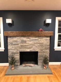 a living room with a fire place in the center and two potted plants next to it