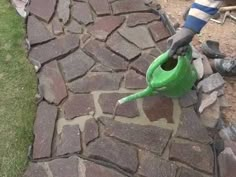 a person is pouring water into a green watering can on a cobblestone walkway