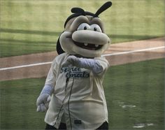 a mascot is standing on the baseball field