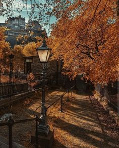 a street light sitting in the middle of a park next to trees with orange leaves