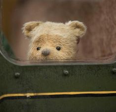 a brown teddy bear looking out the window of a green train