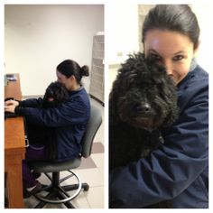 a woman sitting at a desk with a dog in her lap and another photo of a woman working on a computer