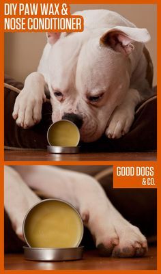 two pictures of a dog eating food out of a bowl with the caption diy paw wax & nose conditioner