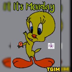 Monday tweety bird | MONDAY - LUNES | Tweety bird quotes, Garfield ...