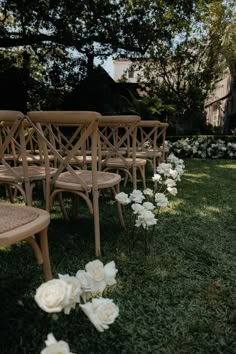 rows of wooden chairs with white flowers in the grass