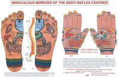 mapped Reflexology Points, David Wolfe, Relaxation Tips, Carotid Artery, Herbal Bath