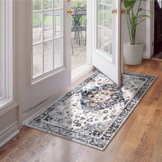 an area rug is on the floor in front of two open doors and a potted plant