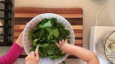 How to make Kid-Friendly Besto Pesto Making Pesto, Costco Basil Pesto Recipes, Carrot Leaf Pesto, Kids Packed Lunch, How To Make Pesto, Packed Lunch, Fostering Children, Pack Lunch, Healthy Snacks For Kids