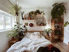 an unmade bed with lots of plants on the shelves above it and a black dog laying on the floor