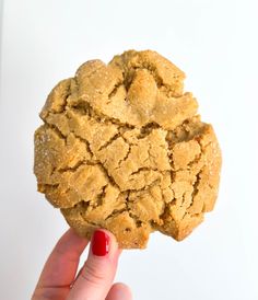 a person holding up a cookie in their right hand and looking at the camera, on a white background