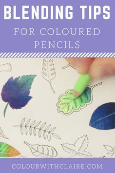 a hand holding a green marker with leaves on it and the words blending tips for colored pencils