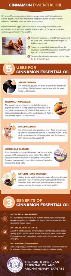 Cinnamon Essential Oil Uses & Benefits Benefits Infographic, Benefits Of Cinnamon, Cinnamon Bark Essential Oil, Essential Oils Uses, Oils For Health, Benefits Of Essential Oils, Cinnamon Essential Oil, Yl Oils, Essential Oils Health