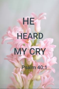 Cry Out To Jesus, Prayer For Guidance, Bible Verses About Strength, Cry Out, Jesus Name