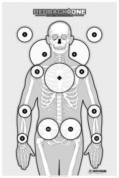 a diagram of the human body with eight different parts labeled in each section, including the skeleton