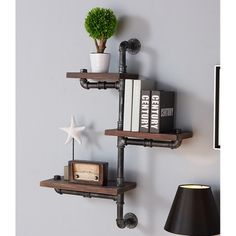 two shelves with books on them are next to a lamp and a potted plant