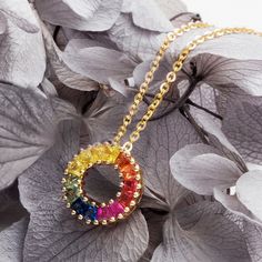 Inspiration: Circle of the rainbow represents the circle of a miracle. Material: 18k yellow gold and colored sapphires (x14) Stone Weight: 1.576 cttw Dimension: 13 x 13 mm Chain Length: 16 + 2" Total Weight: 1.6g Colored Sapphires, Multi Gemstone Necklace, Rainbow Ring, Gold Diamond Studs, Sister Jewelry, Mini Necklace, Colour Stone, Rainbow Rings, Yellow Gold Necklace