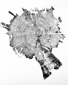 an image of a cross section tree that is cut in half