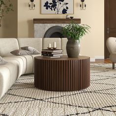 a living room filled with furniture and a large potted plant on top of a coffee table